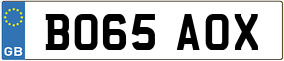 Truck License Plate